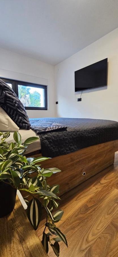 Betty Apartments Borik - Whole Ground Floor Rovinj Buitenkant foto